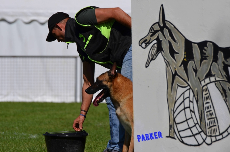 2025 ring Parker eau.jpg